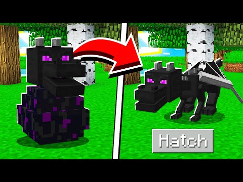 How to HATCH the ENDER DRAGON EGG in Minecraft Tutorial!