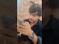 Lal Dabbi Amanraj Gill Shivani Yadav Shorts Ytshorts Youtubeshorts Youtubepartner Haryanvi