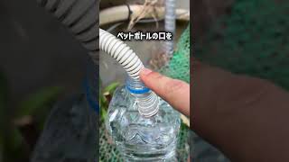 9割が知らない！エアコンホースの汚れがドバッと出た😱✨