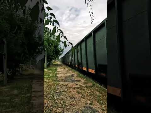 Tren Carguero - FFCC San Martín - Mercedes, Buenos Aires, Argentina