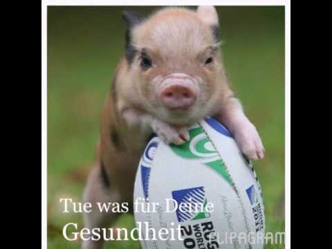 , title : 'Die schweine'