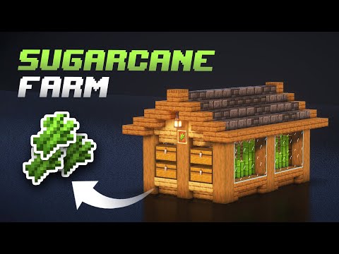 Minecraft: Automatic Sugarcane Farm 1.21 [Java & Bedrock]