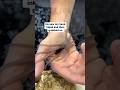 I Ve Never Had An Octopus Ink In My Hand Petoctopus Octopus