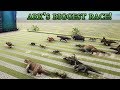 Which one is ARK's FASTEST Creature? - GIANT RACE with all Dinosaurs || Cantex