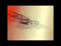Pour It Out - DARENOTS 