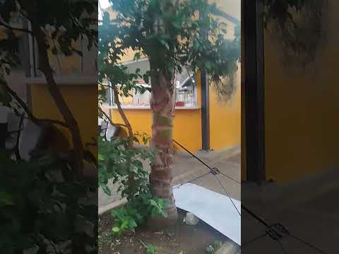 yotoco valle del cauca