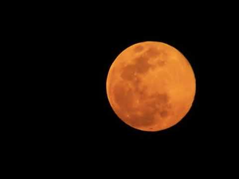 Luna Rosa Pink Moon , April 2020