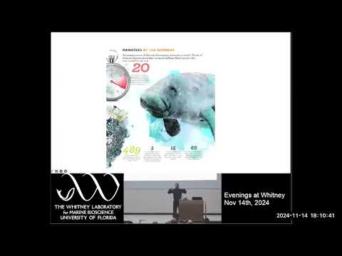 Evenings at Whitney - Florida Loves Manatees: A Cultural History of Manatees in Florida