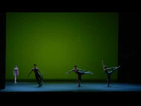 CREATURES by Patrick de Bana at VIENNA STATE OPERA