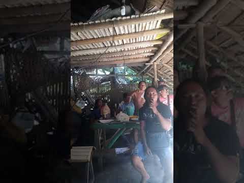 Nasaan ka darling yoyoy villamie cover