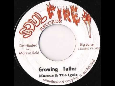 Marcus Reid & The Igels - Growing Taller 