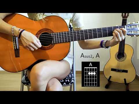 Who Knew - P!nk - Guitar Chords - Easy Tutorial - Play Along