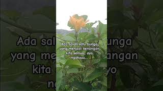 Download lagu bunga nostalgia mp3