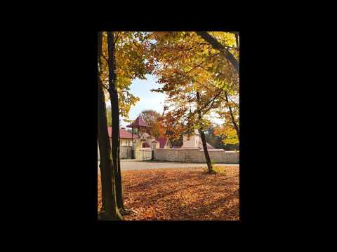 Pustelnia 17.11.2019 - Koronka (7)