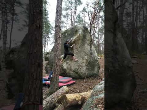 El Poussif / Dune (7a+) barefoot climbing - Isatis (Fontainebleau)
