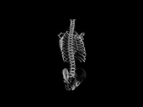 HEALTHY LIVING: Take Care of Your Spine