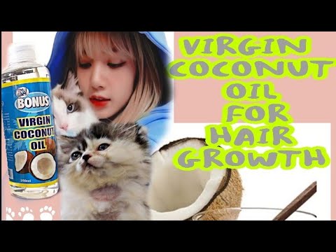 How to GROW FUR FAST!!!