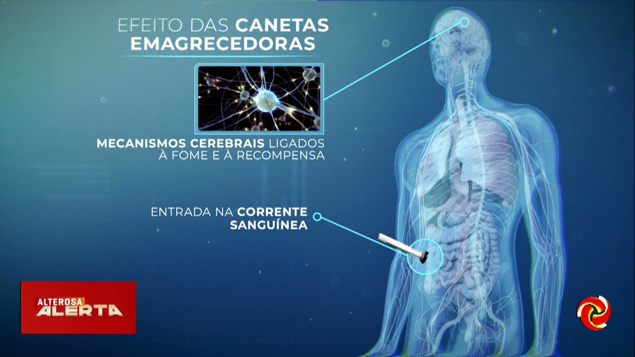 Canetas emagrecedoras são estudadas por possível efeito na redução do consumo de álcool