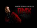 DMX - Already