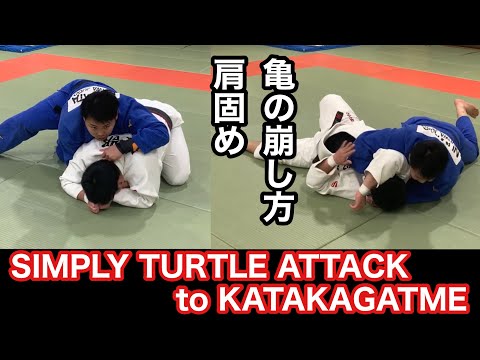 【寝技】亀の崩し方と肩固め　Simply Turtle Attack to Kata-gatame