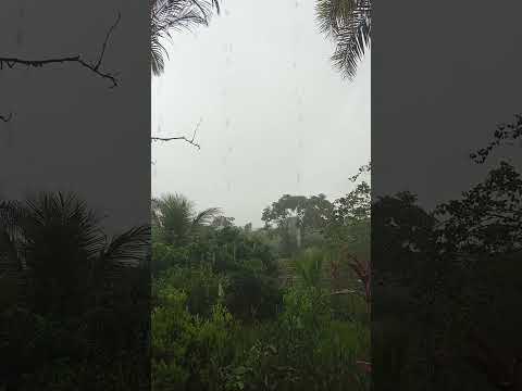chuva Orizona Goiás sexta feira 19 de dezembro de 2025. sexta tempo chuvoso 🌧️🌧️🌧️