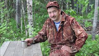 Ссылка