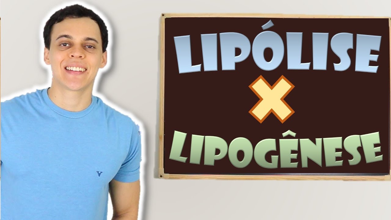 Lipogênese e Lipólise: O que são e Como Funcionam