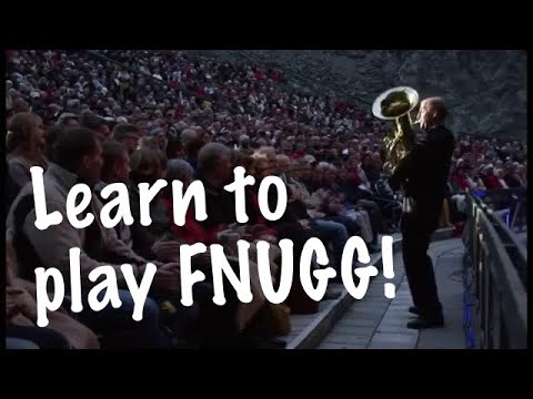 Learn to play Fnugg!