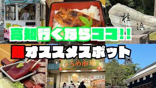 高知行くならココ！おすすめ観光スポット＆グルメ旅｜仁淀ブルー・桂浜・ひろめ市場