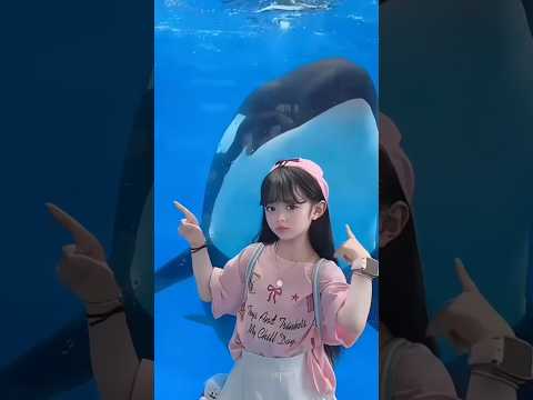 Orka Ini Mengamuk, Ternyata Ada Alasannya