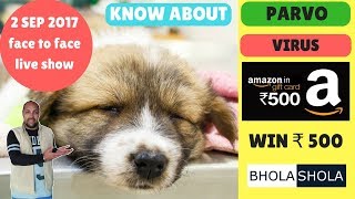 Pet Care - Know About Parvo Virus - bhola shola