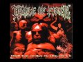 Backing Track Cradle of Filth - From the Cradle to ...