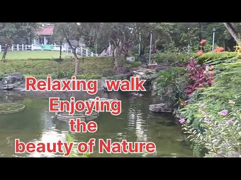 Walk || Relax || Enjoying the Beauty of Nature @Azucena Amelo