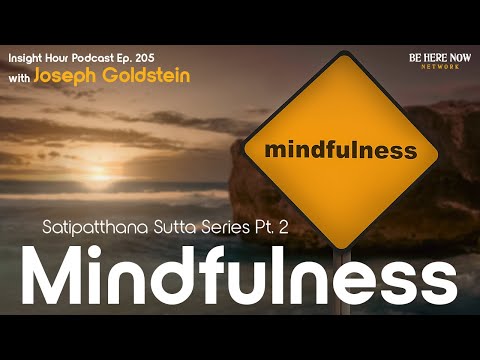 Joseph Goldstein's Satipatthana Sutta Series Pt. 2: Mindfulness – Insight Hour Podcast Ep. 205