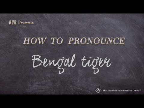 How to Pronounce Bengal tiger (Real Life Examples!)