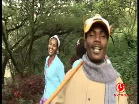 Araarsaa Gabbisaa   Yaamaakodii