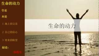 生命的动力