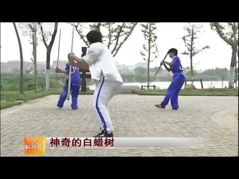 ~子甄彣璟~白蠟桿 棍身 韌性 防震強 白蠟棍 武術棍 少林棍 齊眉棍 健身 長棍 木棍 太極桿 猴棍 武當棍 棍子 ~子甄彣璟~白蠟桿 棍身 韌性 防震強 白蠟棍 武術棍 少林棍 齊眉棍 健身 長棍 木棍 太極桿 猴棍 武當棍 棍子