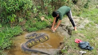 anaconda big size _ must viral video _ king shiman Debbarma
