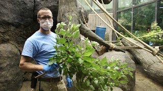 What's one thing you wish everyone knew about being a zookeeper?