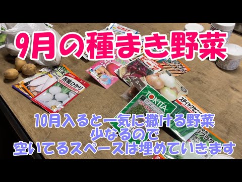  9月に植える野菜は何ですか？  庭園