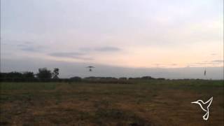 Galería Videos - Rancho Colibrí 9