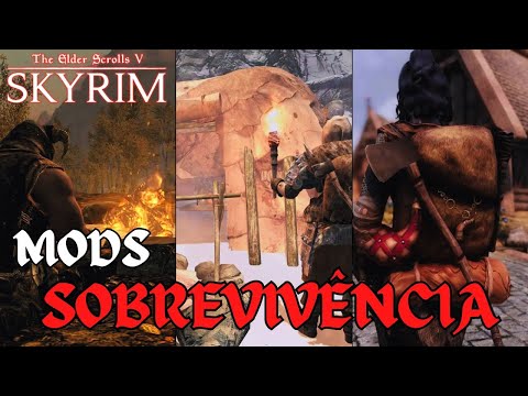 OS MELHORES MODS DE SOBREVIVÊNCIA | SKYRIM MODLIST #bethesda #dallasskyrim #skyrim