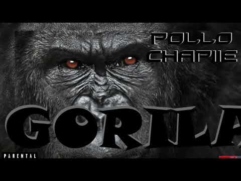 Pollo Chapiie   Gorila (NTB Prod)