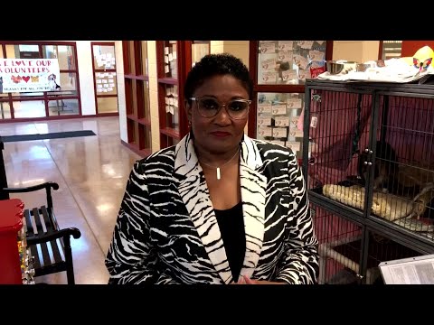 Reporter Update: Brenda Waters - Crowded Humane Society