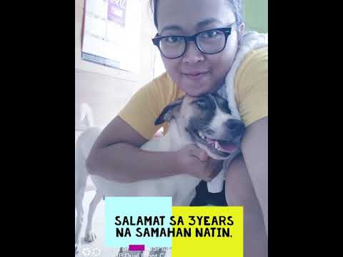 My precious dog (BEAUTY)