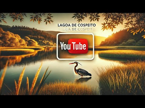 Vídeo: Lagoa de Cospeito: un paraíso para vida salvaxe en Galicia