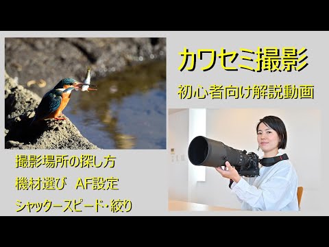 IUCN分類における絶滅の危険性を示す図。