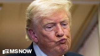 Trump 'shot himself in the foot' by contradicting docs he released: Fmr. Trump DHS official