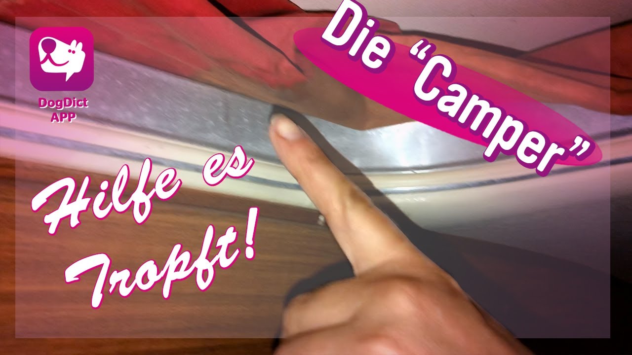 Folge 39: Camper, es tropft!